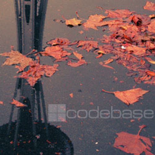 Codebase